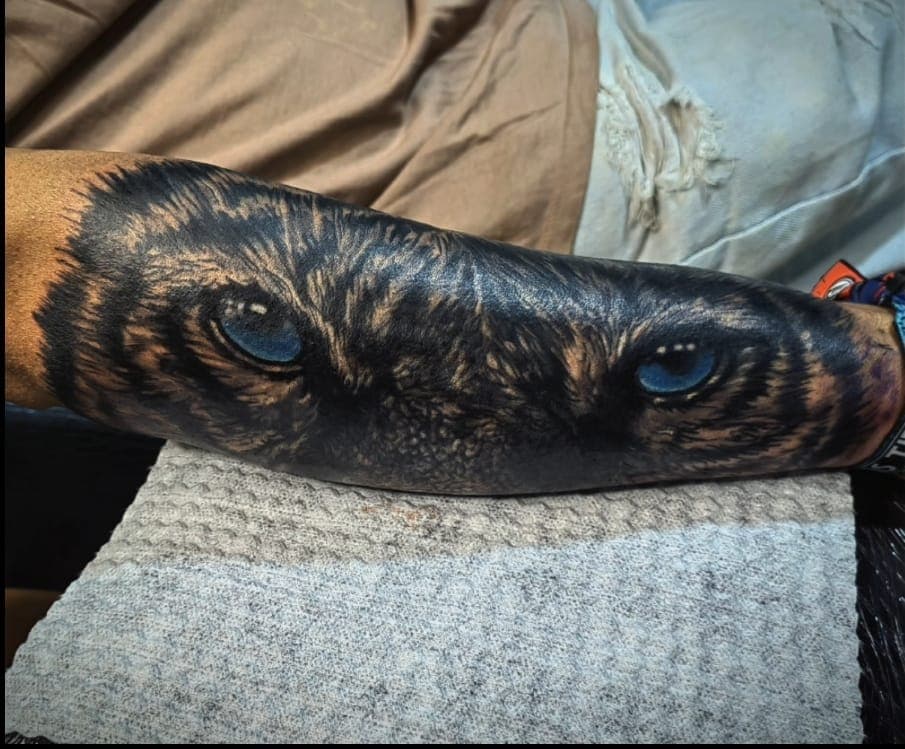 Draketattoo