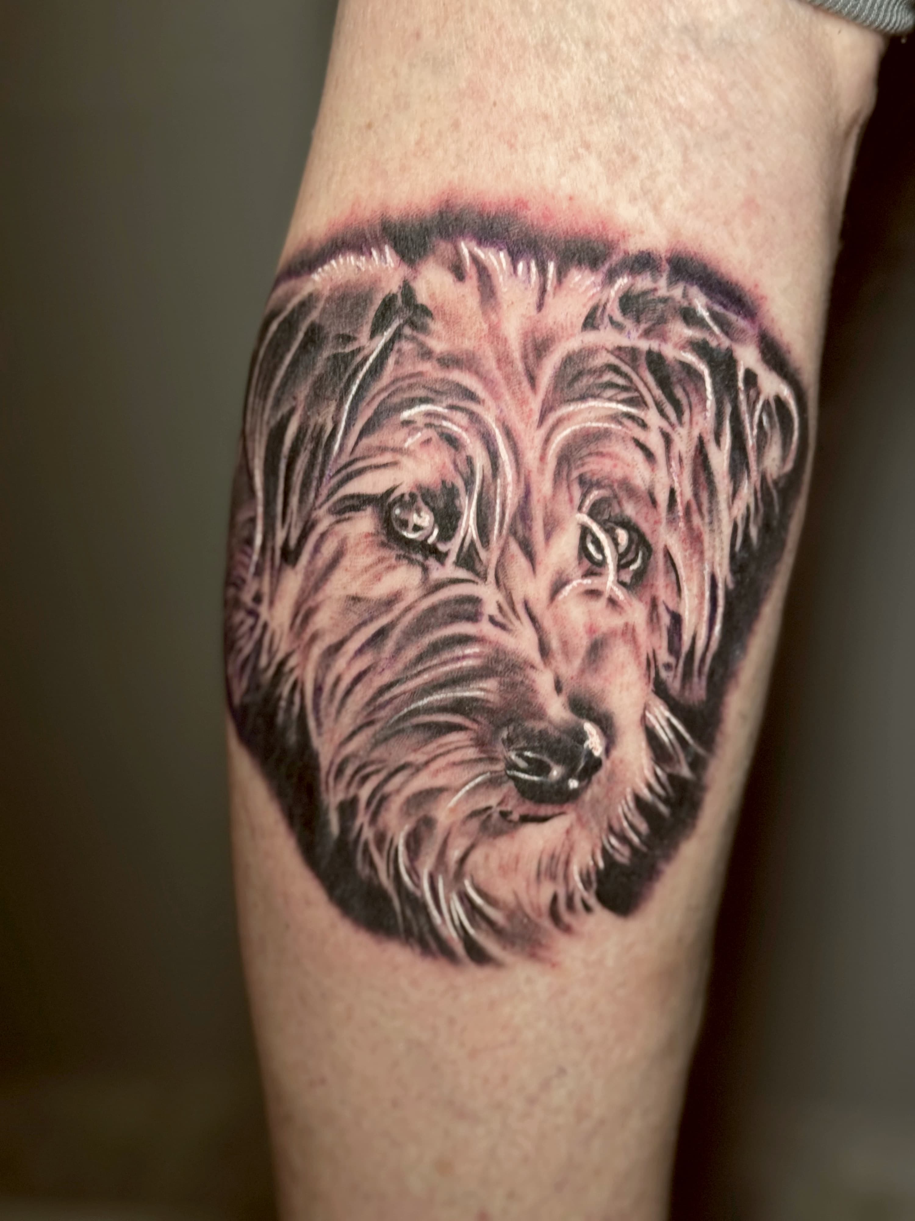 Tattoo work by Julian Quesada